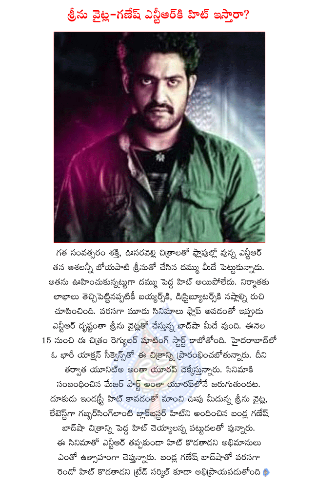 ntr latest movie details,ntr latest movie bashah regular shooting from 6th june,ntr and srinu vytla combo movie badshah,kajal agarwal in badshah  ntr latest movie details, ntr latest movie bashah regular shooting from 6th june, ntr and srinu vytla combo movie badshah, kajal agarwal in badshah